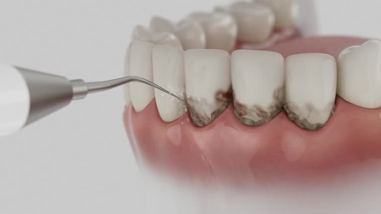 Reliable Dental contractor in Richfield, OH by Dentist Open Now